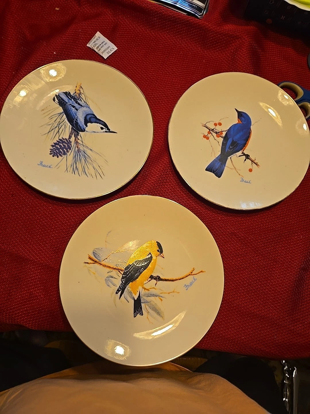 National Wildlife Federation Bird Plates Set Of 3 CHANS Treasures